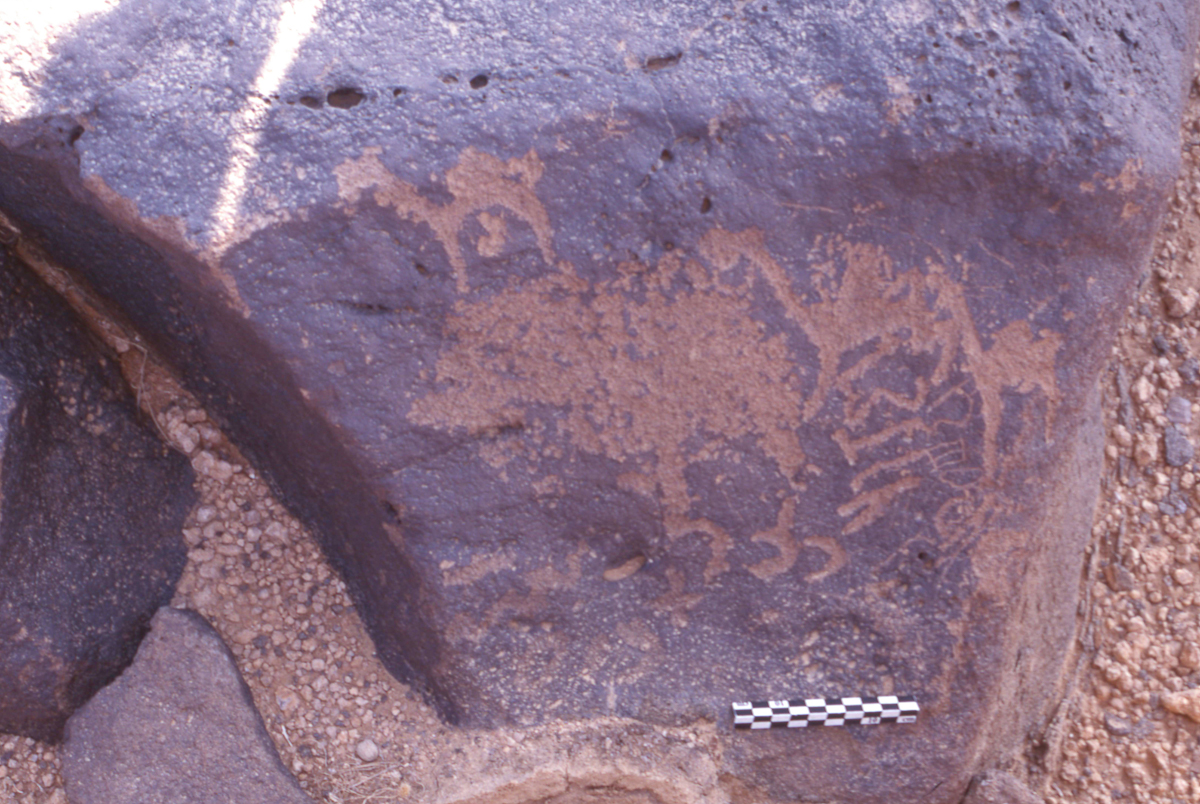 inscription of siglum HaNSB 113