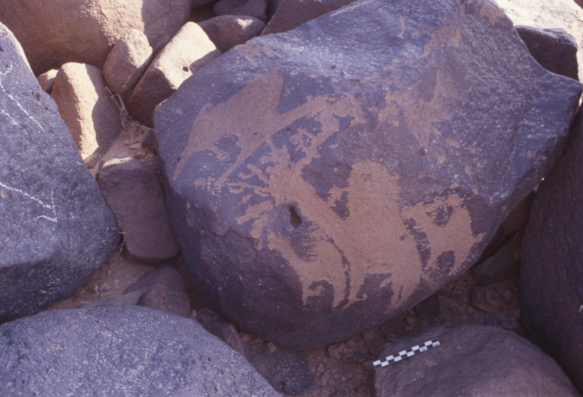 inscription of siglum HaNSB 114