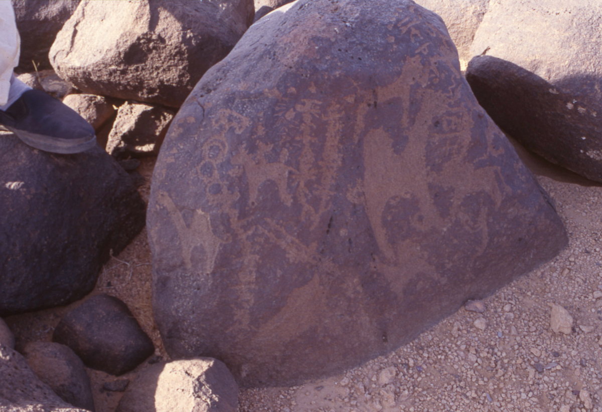 inscription of siglum HaNSB 116