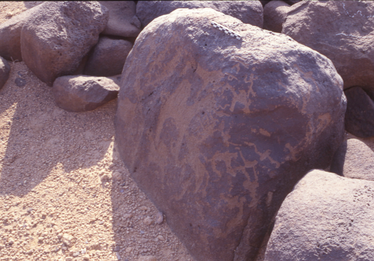 inscription of siglum HaNSB 116