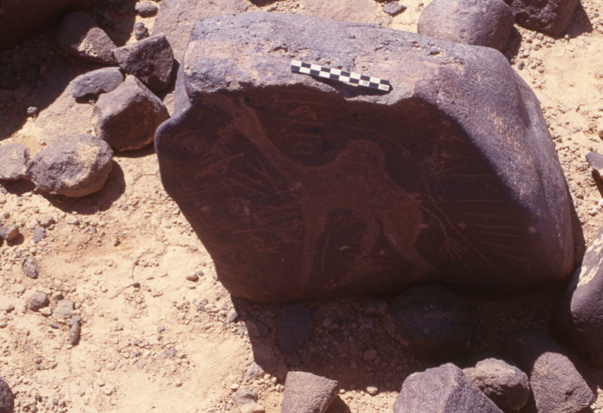 inscription of siglum HaNSB 135
