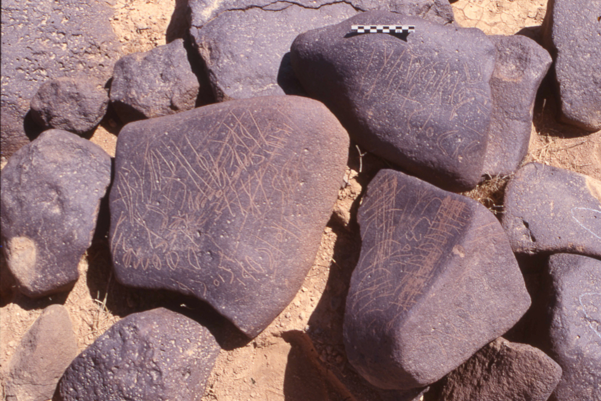 inscription of siglum HaNSB 173