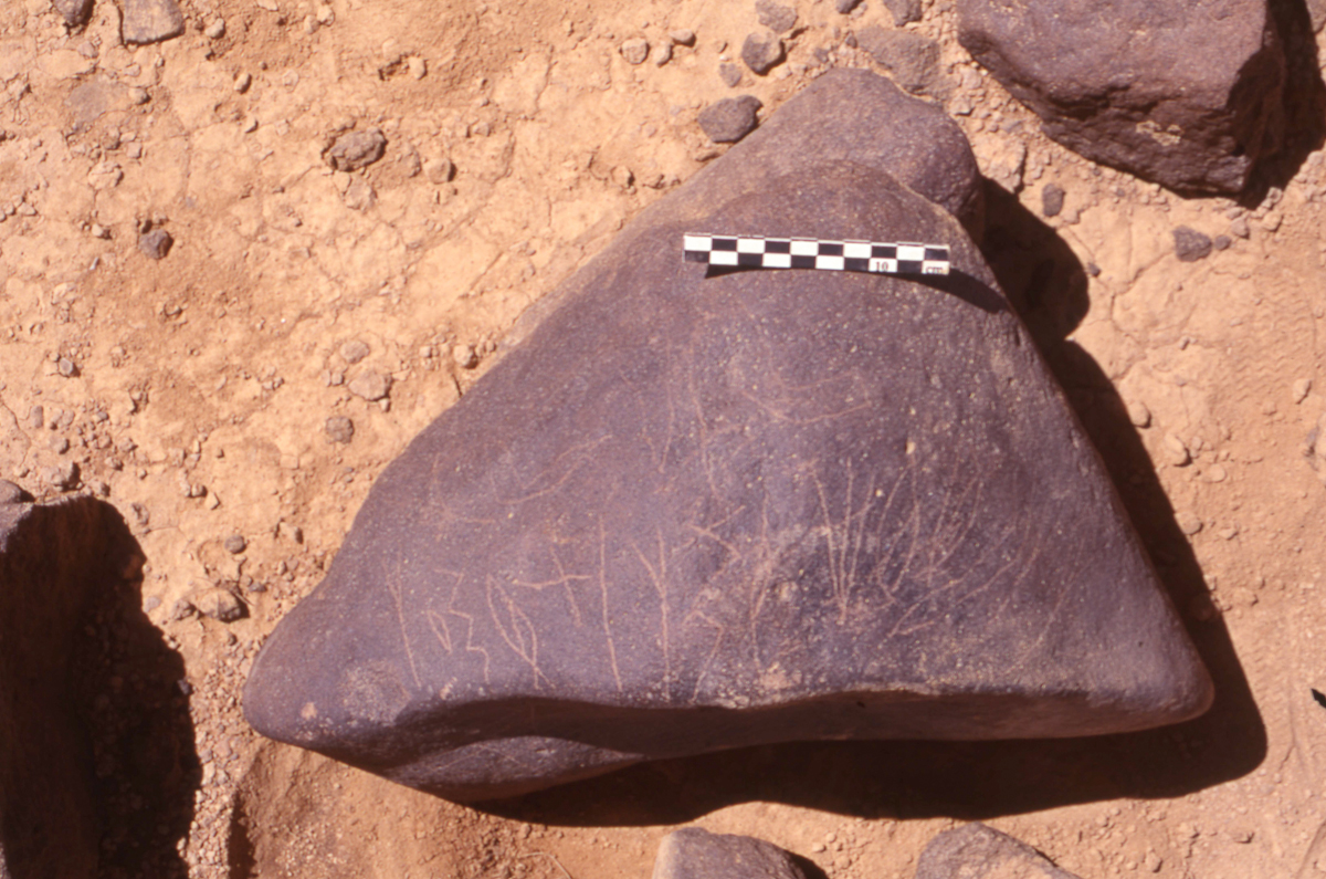 inscription of siglum HaNSB 189