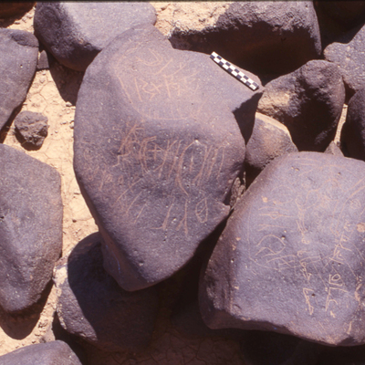 inscription of siglum HaNSB 195