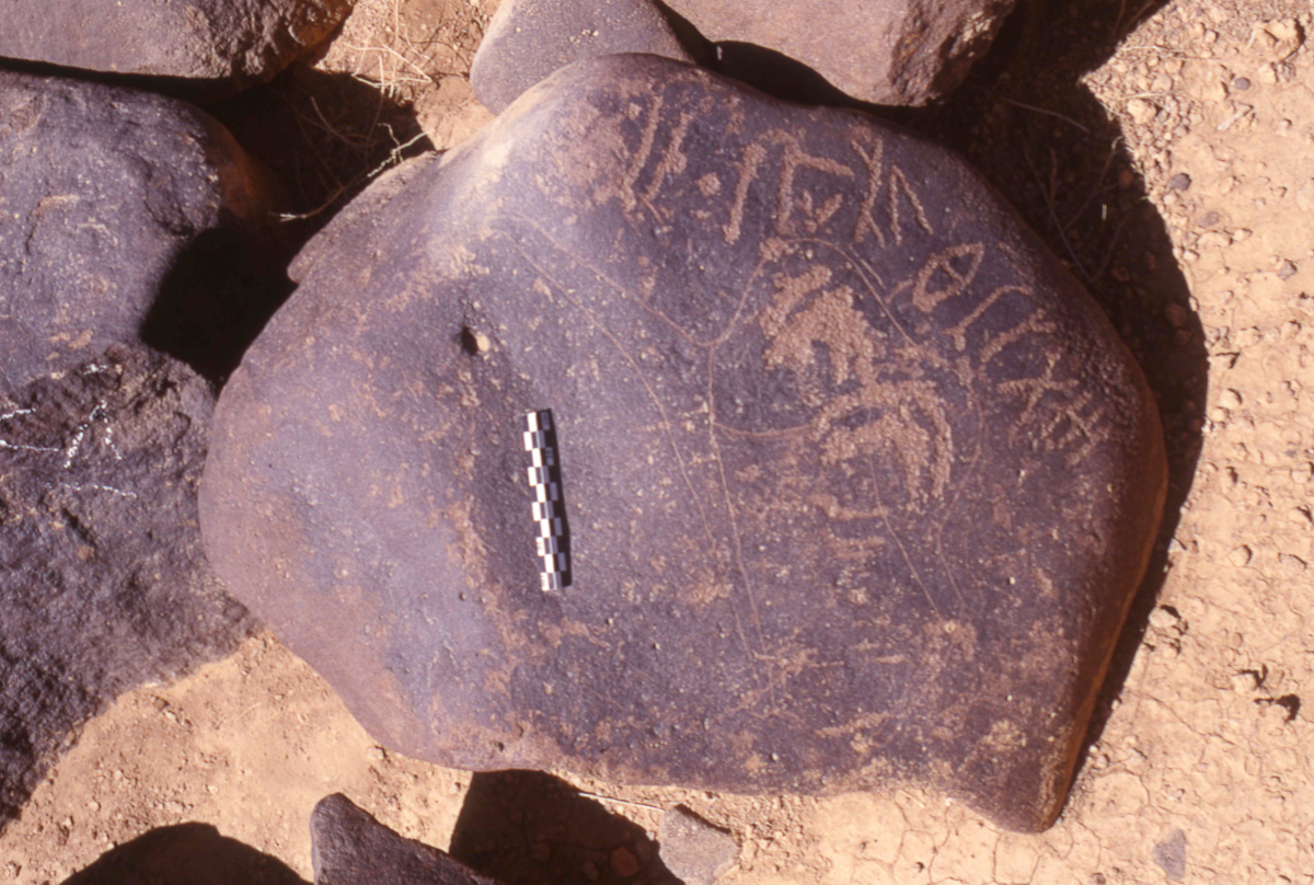 inscription of siglum HaNSB 196