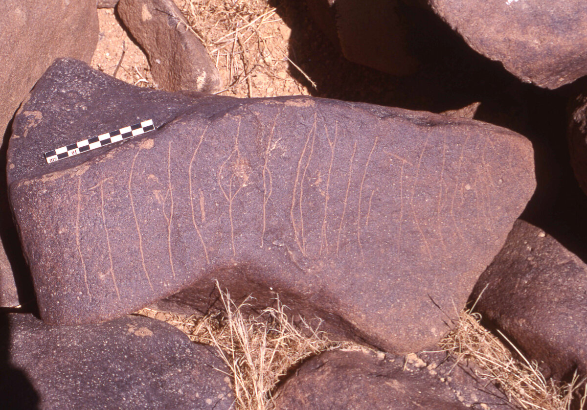 inscription of siglum HaNSB 203