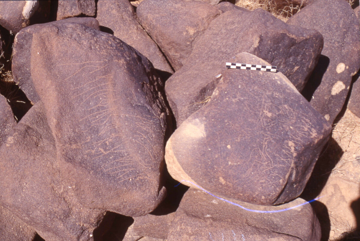 inscription of siglum HaNSB 206