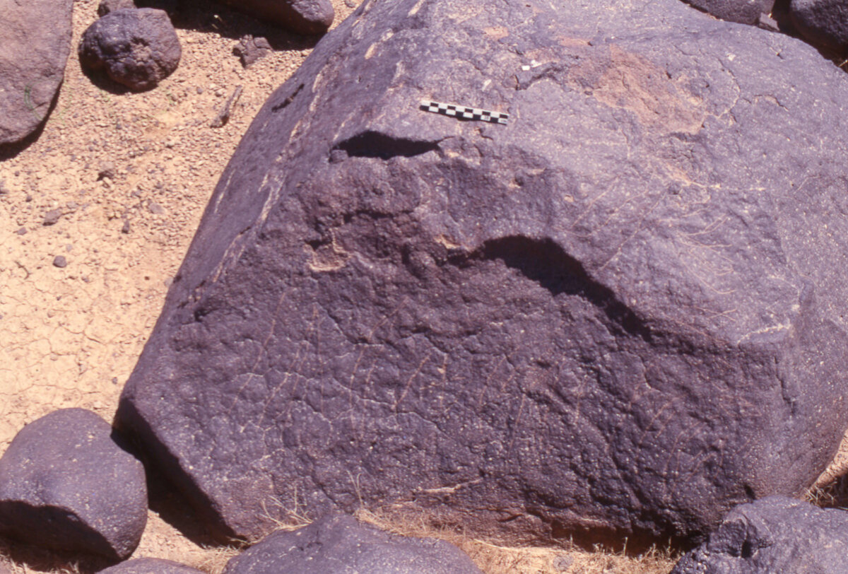inscription of siglum HaNSB 215