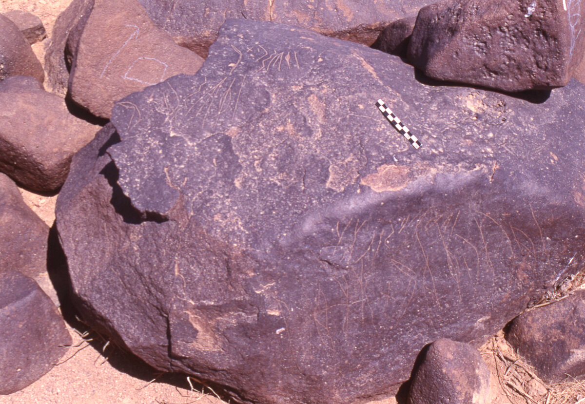 inscription of siglum HaNSB 221