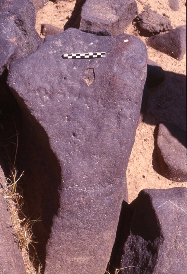 inscription of siglum HaNSB 228