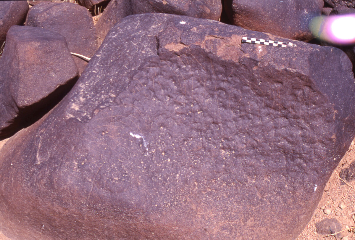 inscription of siglum HaNSB 229