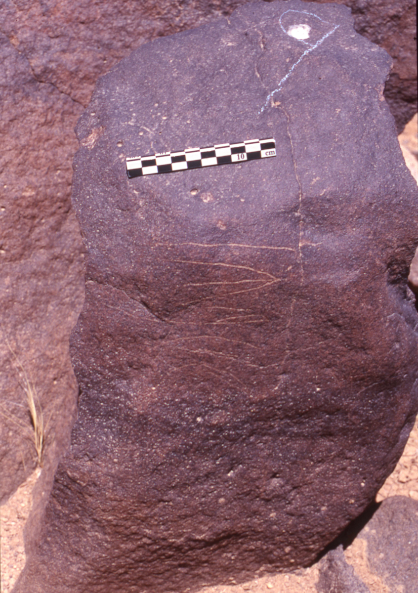 inscription of siglum HaNSB 235