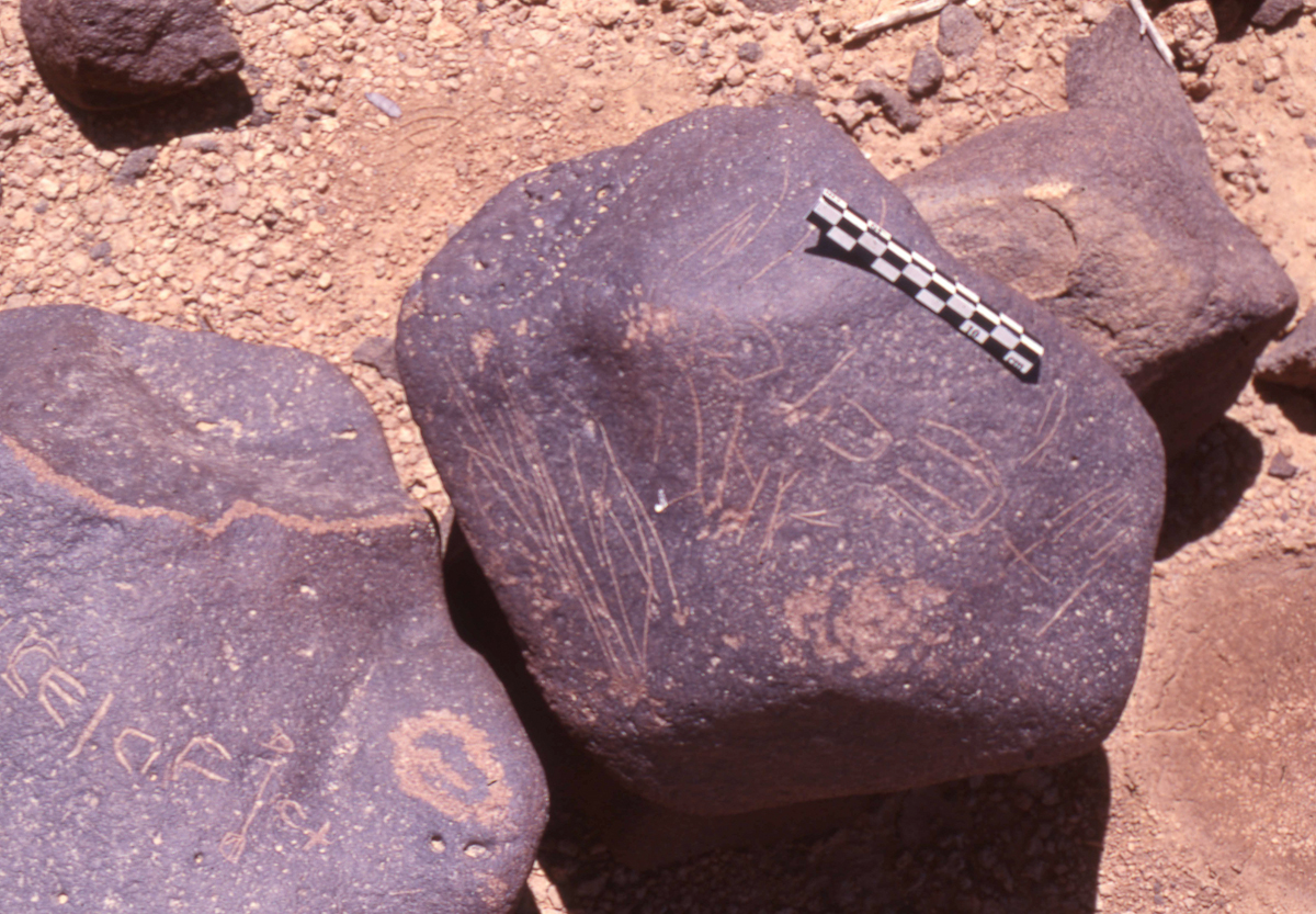 inscription of siglum HaNSB 239
