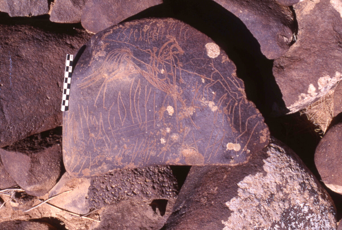 inscription of siglum HaNSB 243