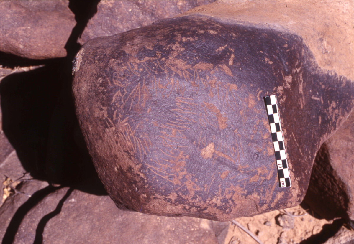 inscription of siglum HaNSB 243