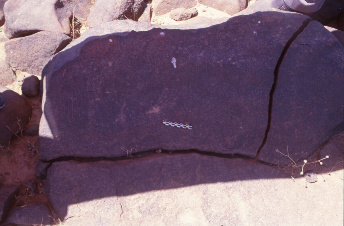 inscription of siglum HaNSB 244