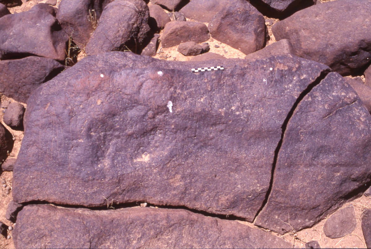 inscription of siglum HaNSB 244