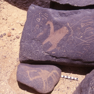 inscription of siglum HaNSB 262