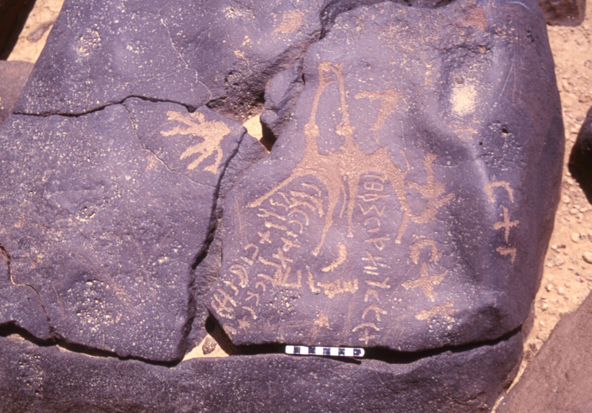 inscription of siglum HaNSB 263