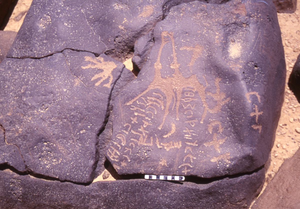 inscription of siglum HaNSB 264