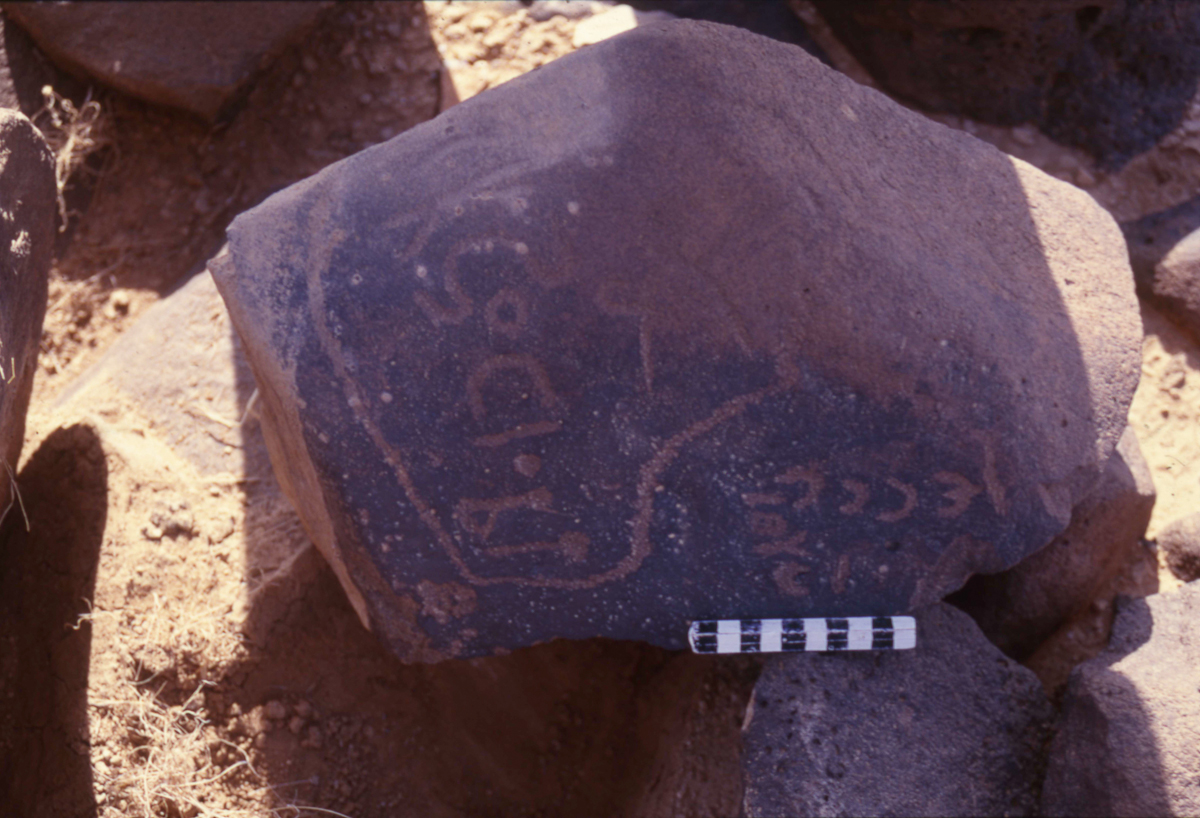 inscription of siglum HaNSB 295