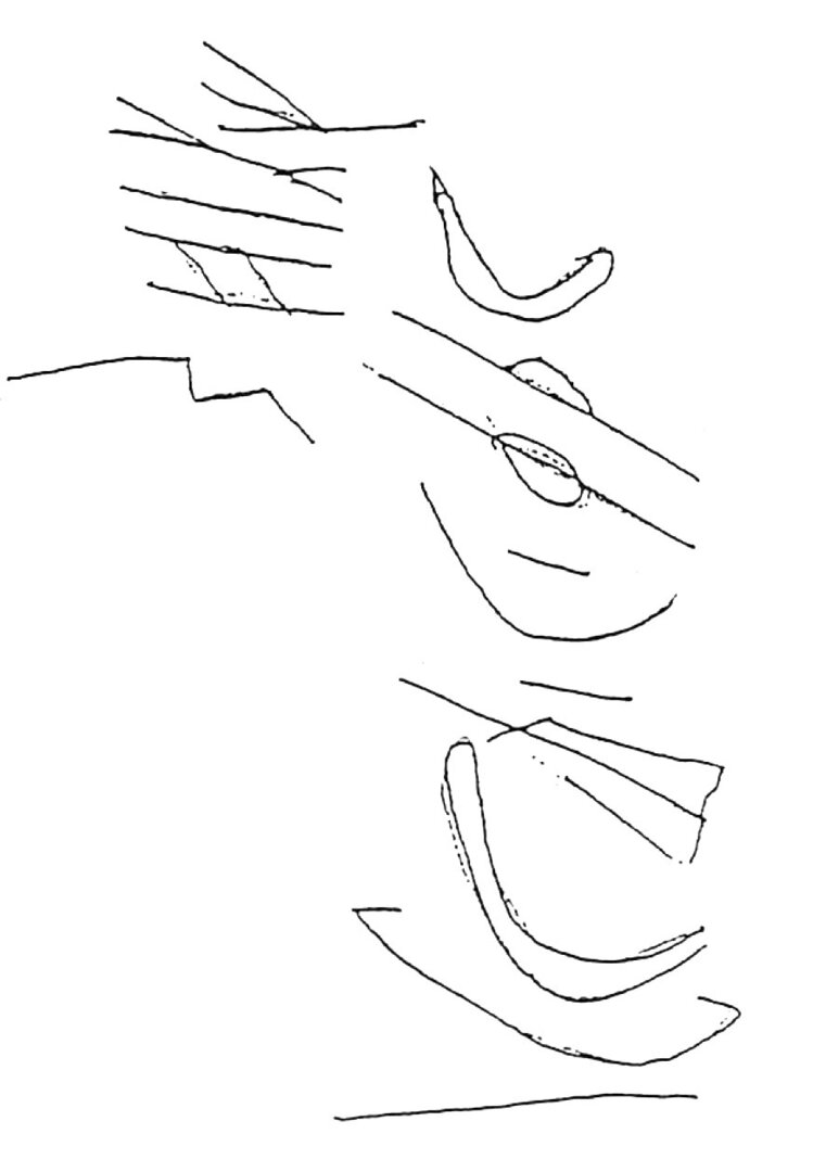 inscription of siglum HaNSB 330