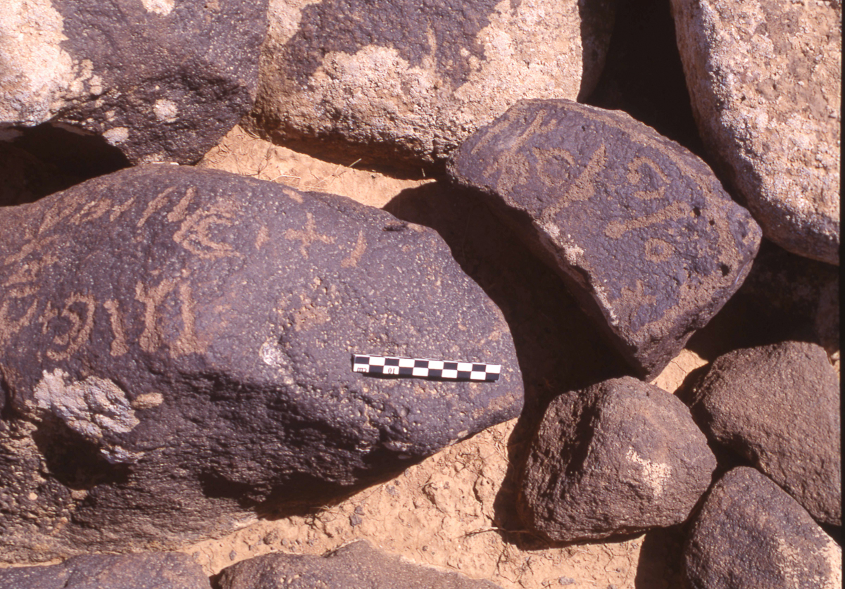 inscription of siglum HaNSB 56