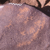 inscription of siglum HaNSB 8