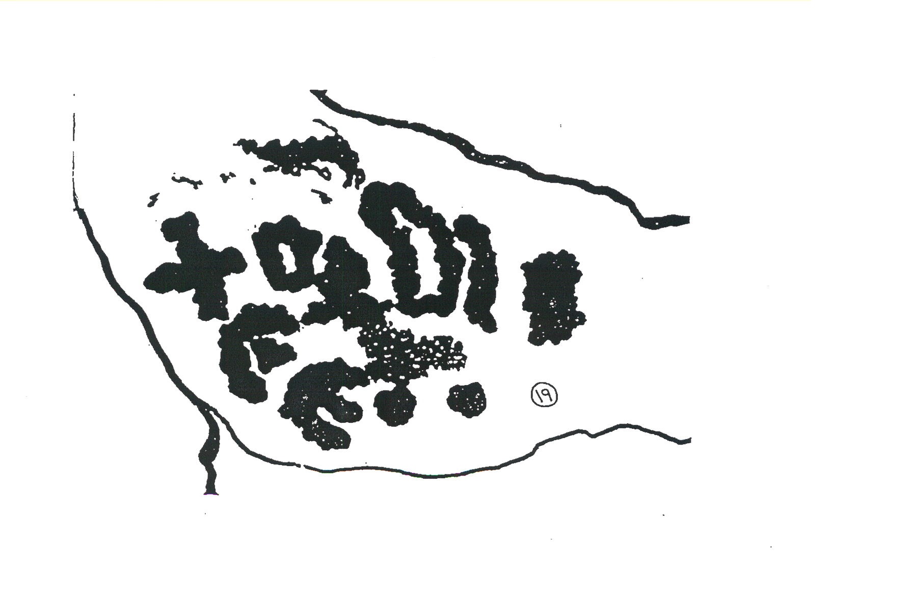inscription of siglum INAS 19
