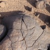 inscription of siglum ISB 193