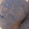 inscription of siglum ISB 316