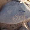 inscription of siglum ISB 348