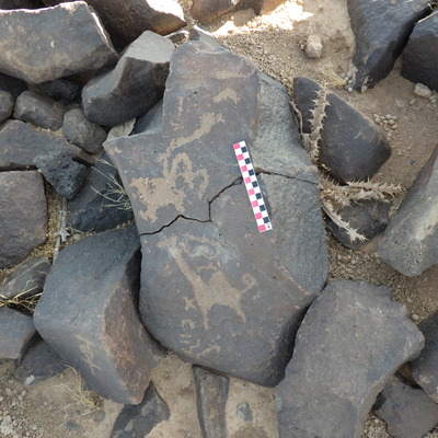 Image of BES26_HRN1 28