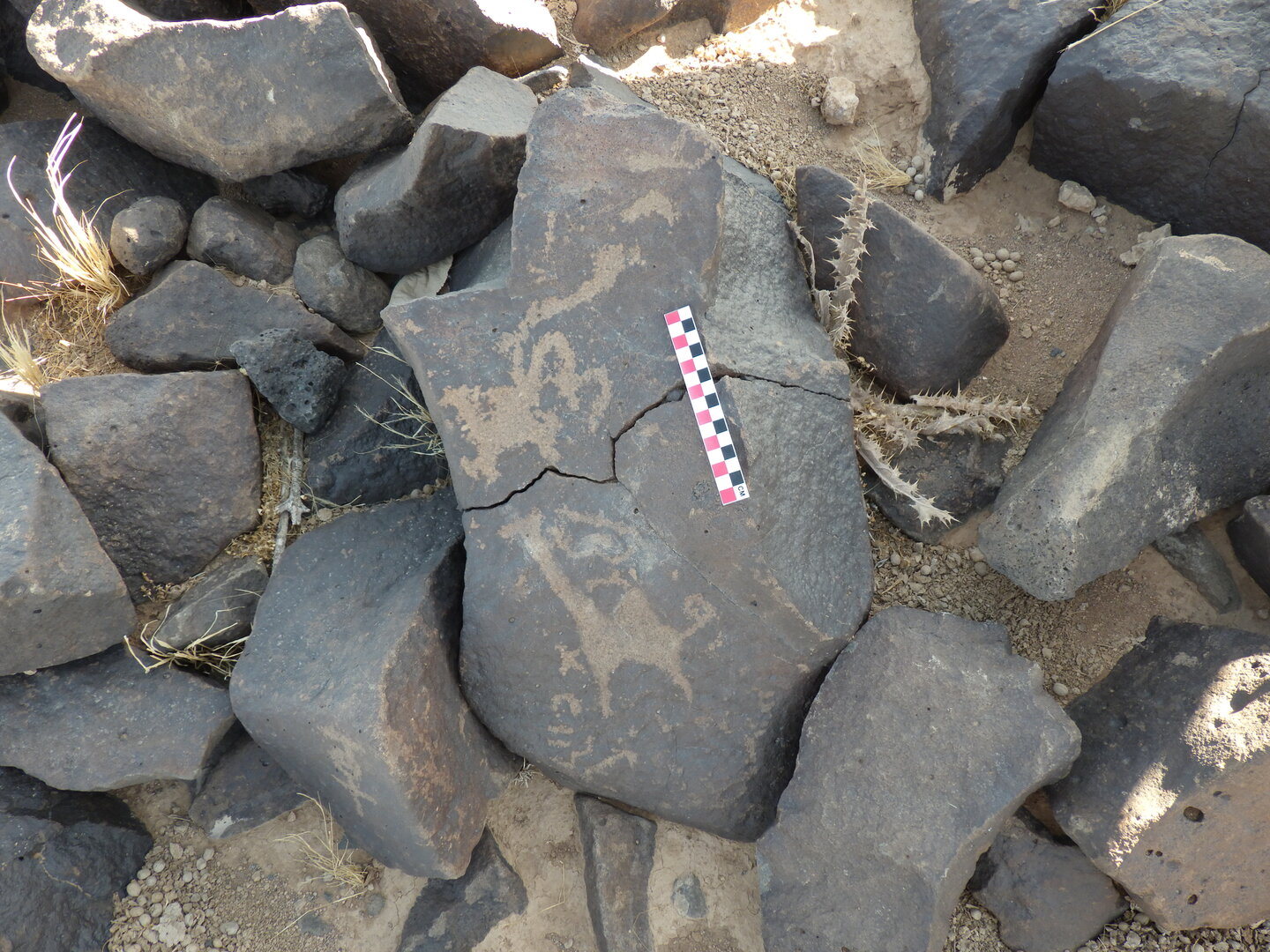 Image of BES26_HRN1 28