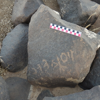 Image of BES26_HRN1 29