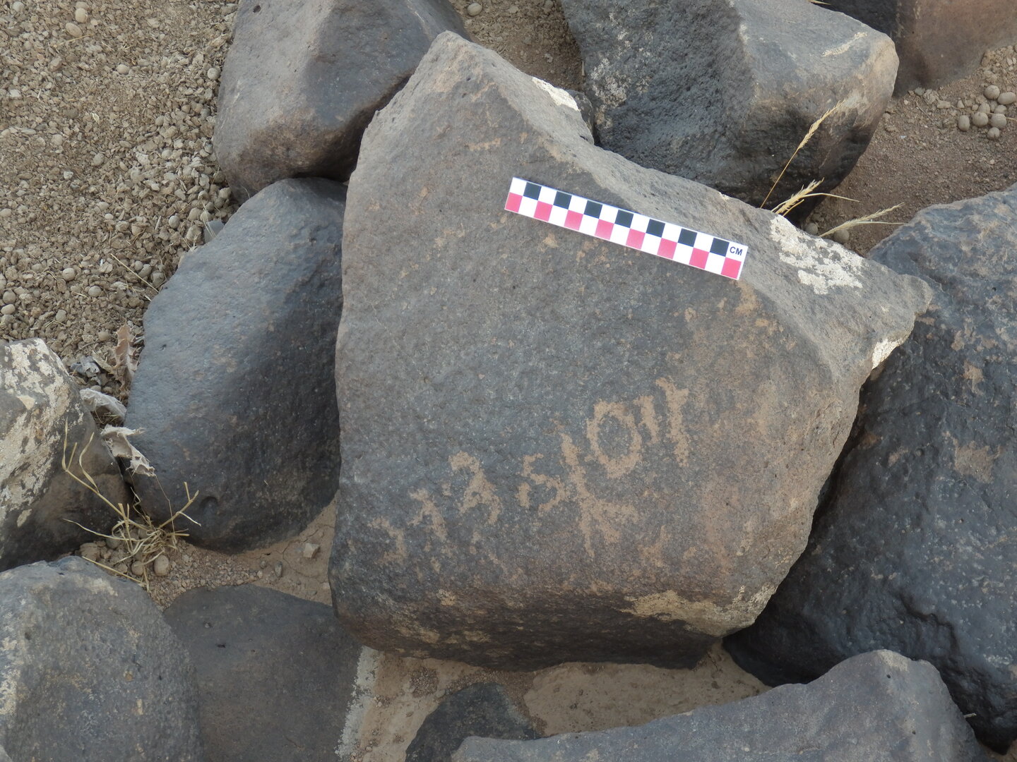 Image of BES26_HRN1 29