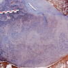 inscription of siglum Is.H 1019
