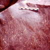 inscription of siglum Is.H 1025