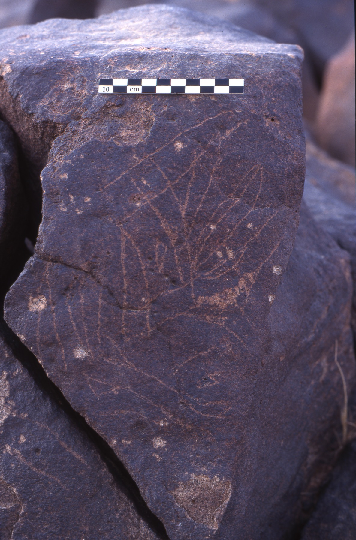 inscription of siglum Is.H 125
