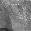 inscription of siglum Is.H 142