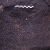inscription of siglum Is.H 144