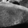 inscription of siglum Is.H 172