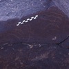inscription of siglum Is.H 199