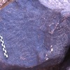 inscription of siglum Is.H 203