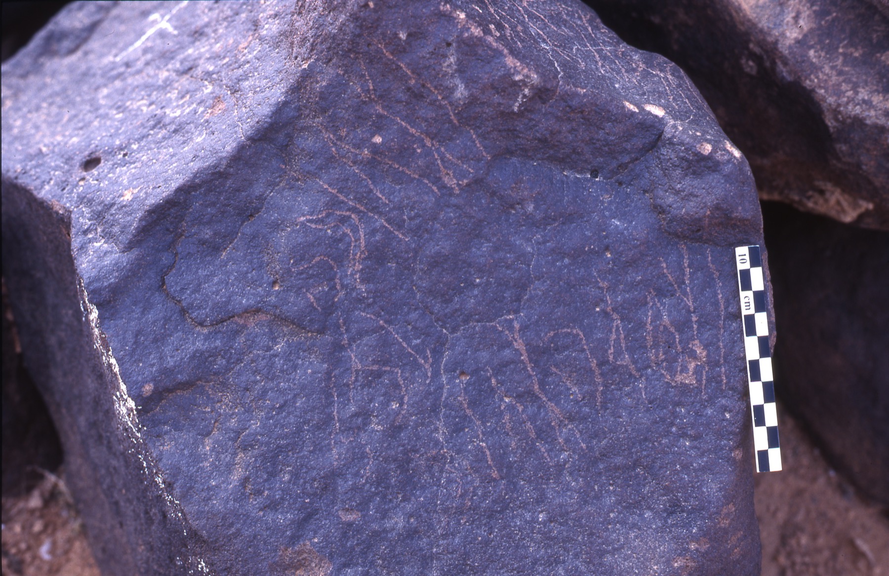 inscription of siglum Is.H 204