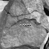 inscription of siglum Is.H 209
