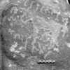 inscription of siglum Is.H 225