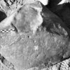 inscription of siglum Is.H 254