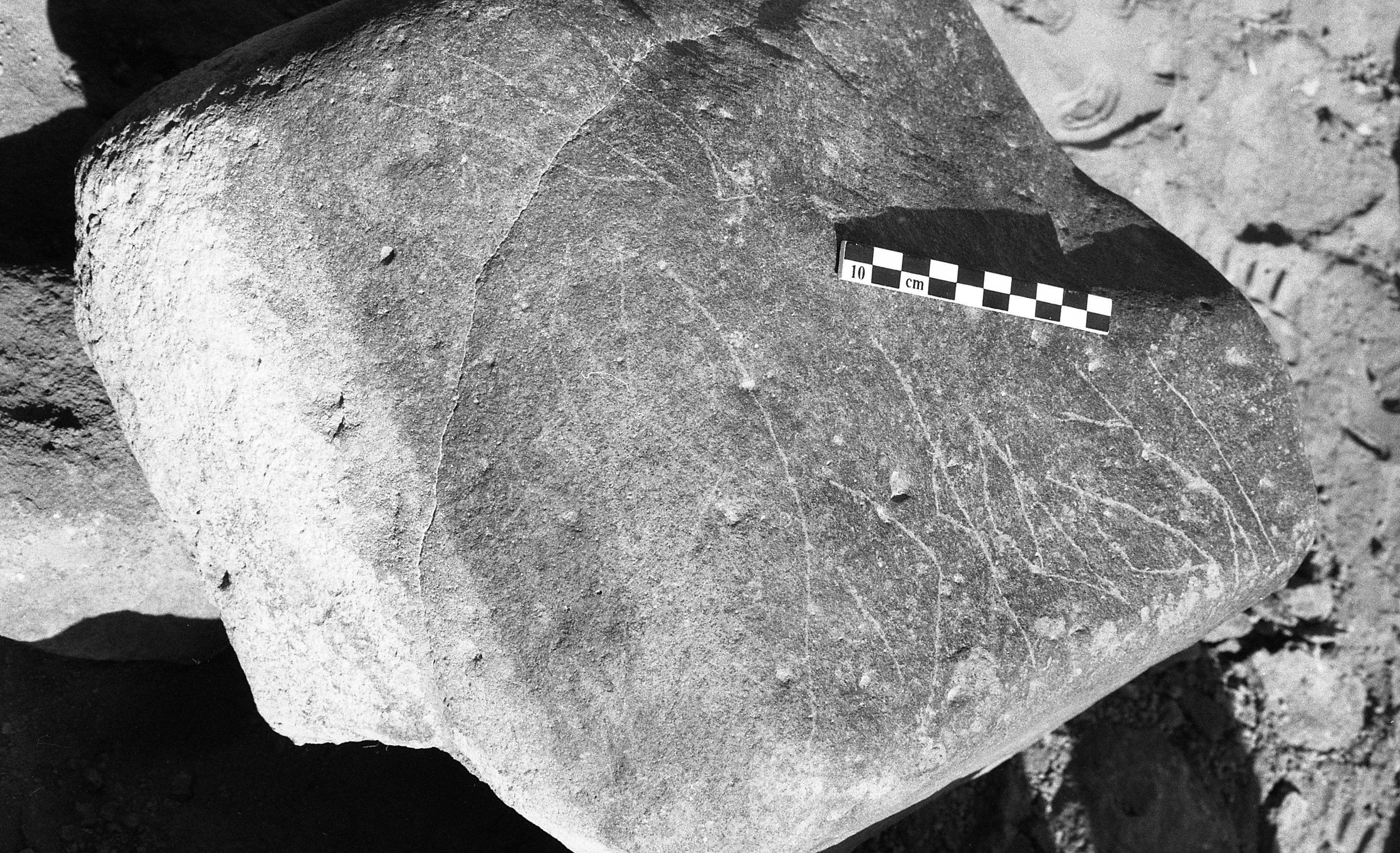 inscription of siglum Is.H 256