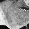 inscription of siglum Is.H 256